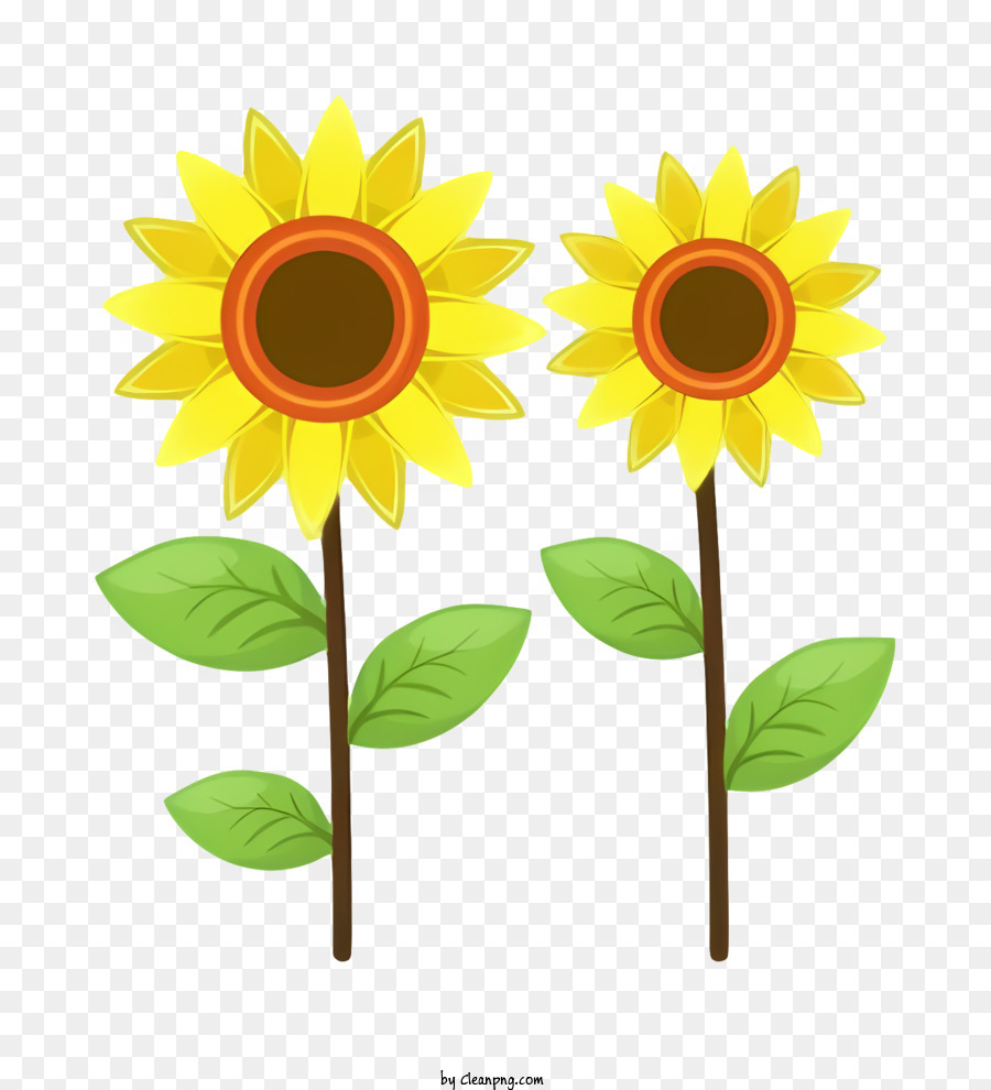 Small Fresh Drawing Plant Green Sunflower Leaves PNG Images | PSD Free  Download - Pikbest