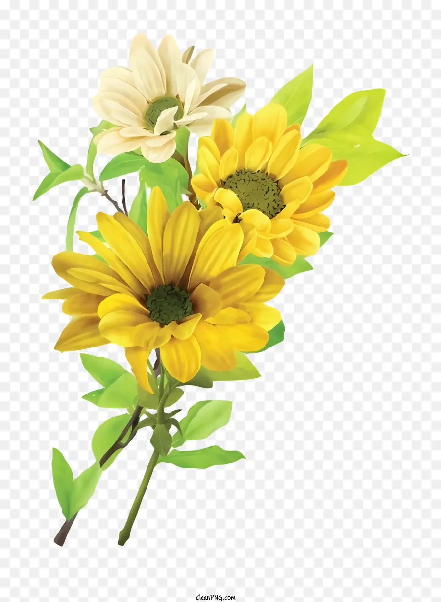 Sonnenblumenbouquet Full Bloom Yellow Cream Center - Blumenstrauß sonniger Sonnenblumen auf schwarzem Hintergrund