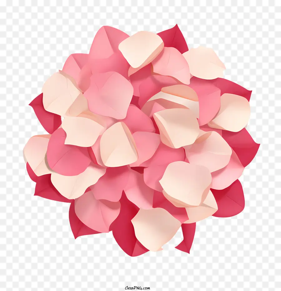 petali di rosa - 