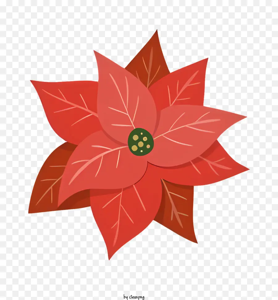 Weihnachten Blume - Rote Weihnachtssternblume mit grünen Blättern, auffälliges Bild
