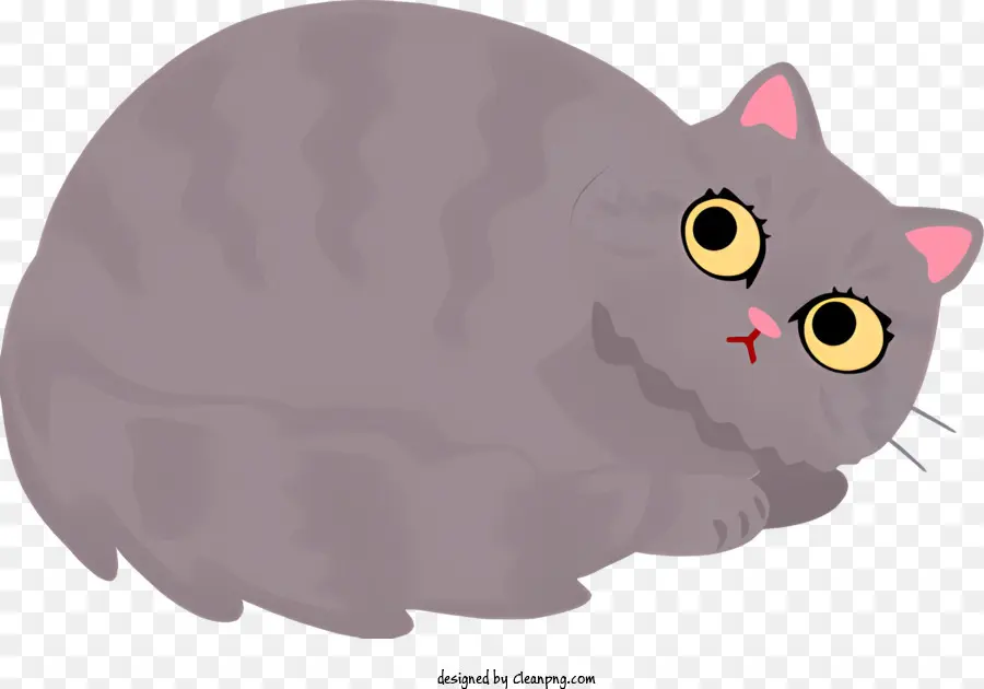 graue Katze schlanke Katze langer graues Fell weißer Unterbauch - Graue Katze mit geschlossenen Augen und elegantem Fell