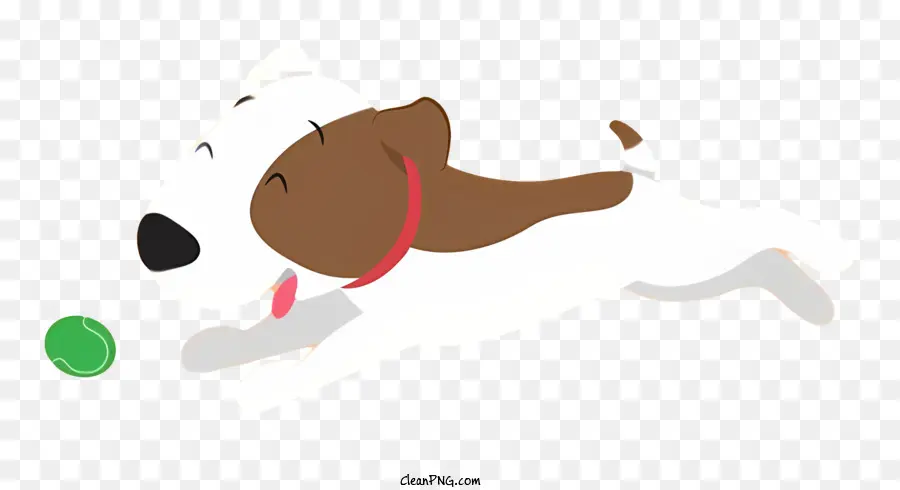 Hund läuft grüner Ball braun und weißer Hund Wedelschwanz - Brauner und weißer Hund mit grünem Ball rennt