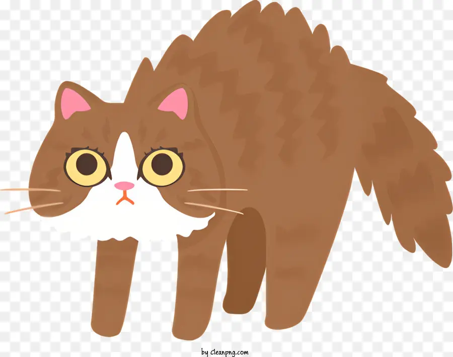 cartone animato gatto - CATTO CATTORE CONTRO CON PATTURE BIANCHE, guardando attentamente