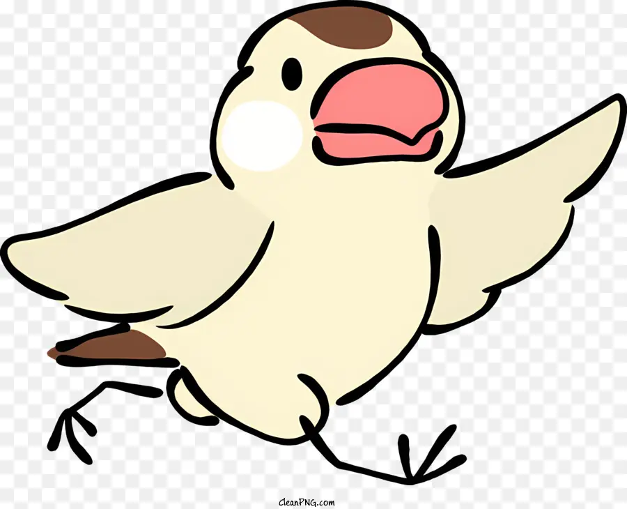 phim hoạt hình con chim - Chim hoạt hình với cái mỏ lớn bay một cách hạnh phúc