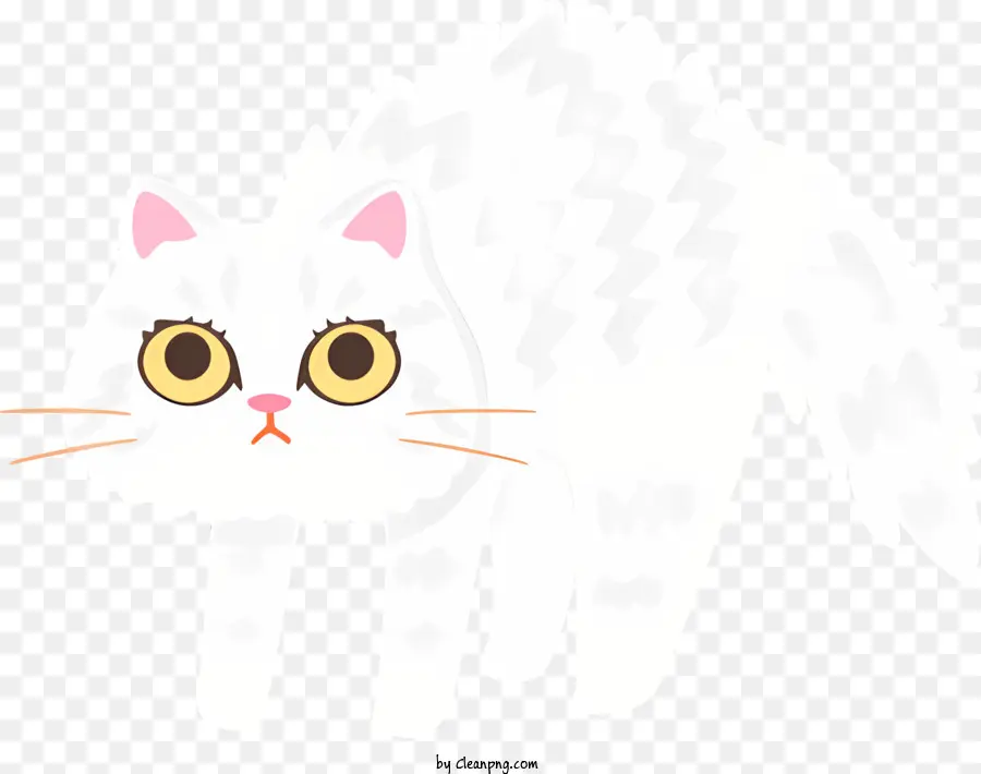 weiße Katzenflausch -Fell -Braun -Markierungen Katze auf den Hinterbeinen Kopf geneigt - Flauschige weiße Katze auf den Hinterbeinen steht