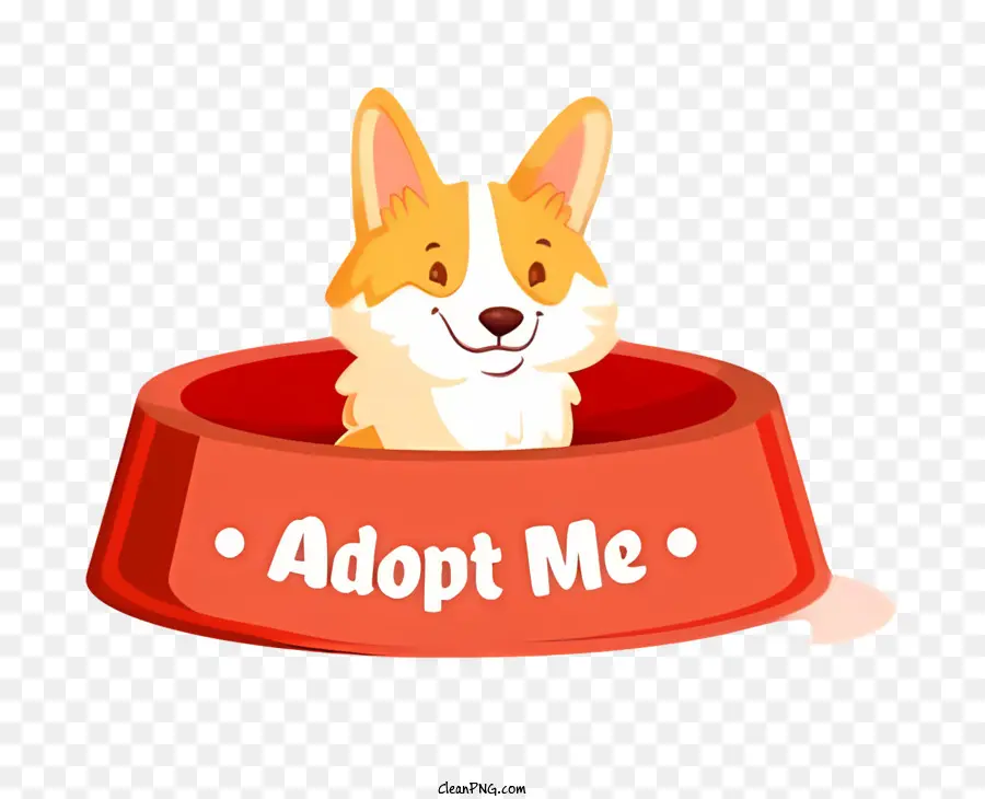 small dog red bowl black background collar adoption
