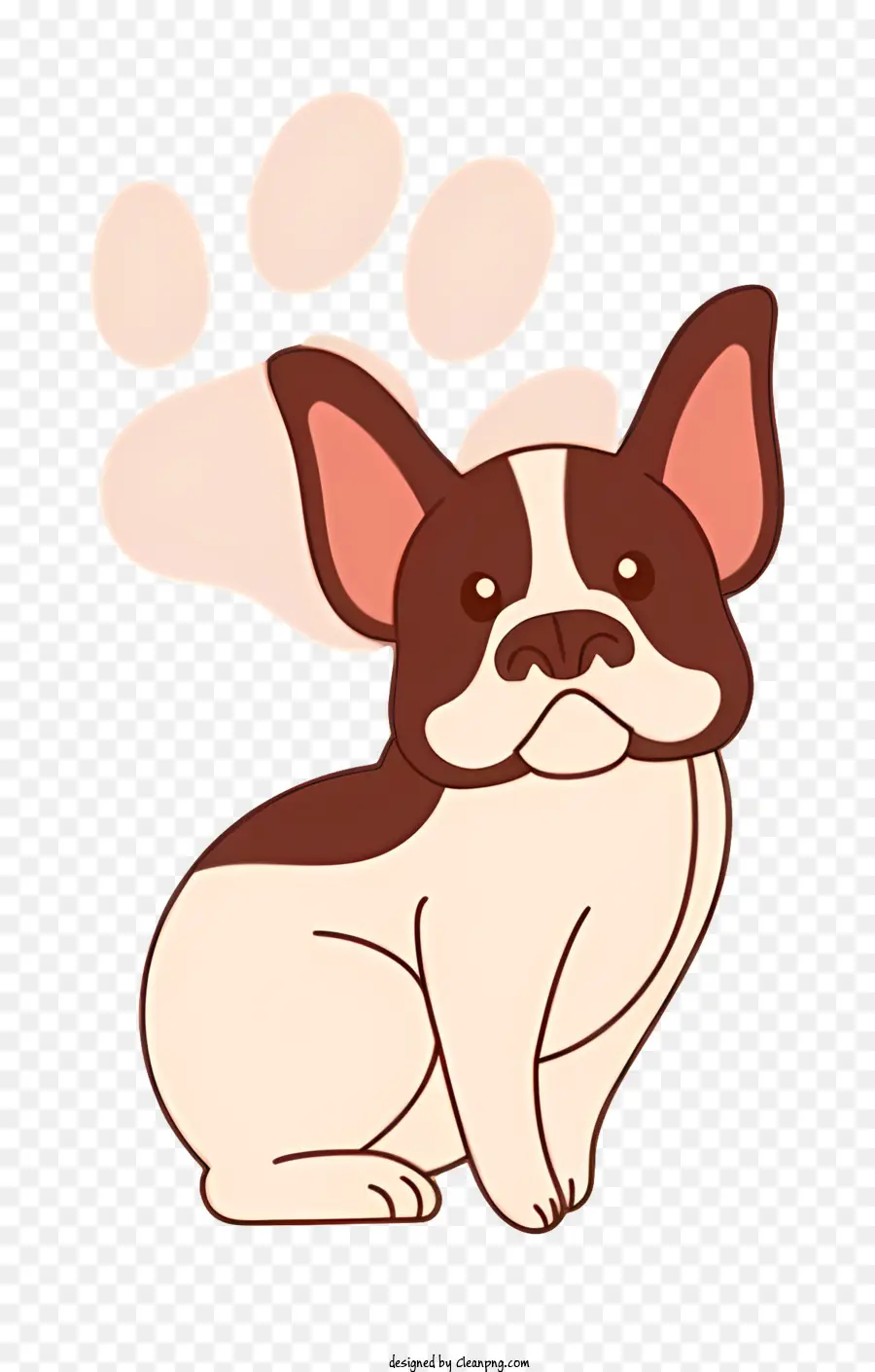 bulldog francese - Bulldog francese marrone e bianco con zampe visibili