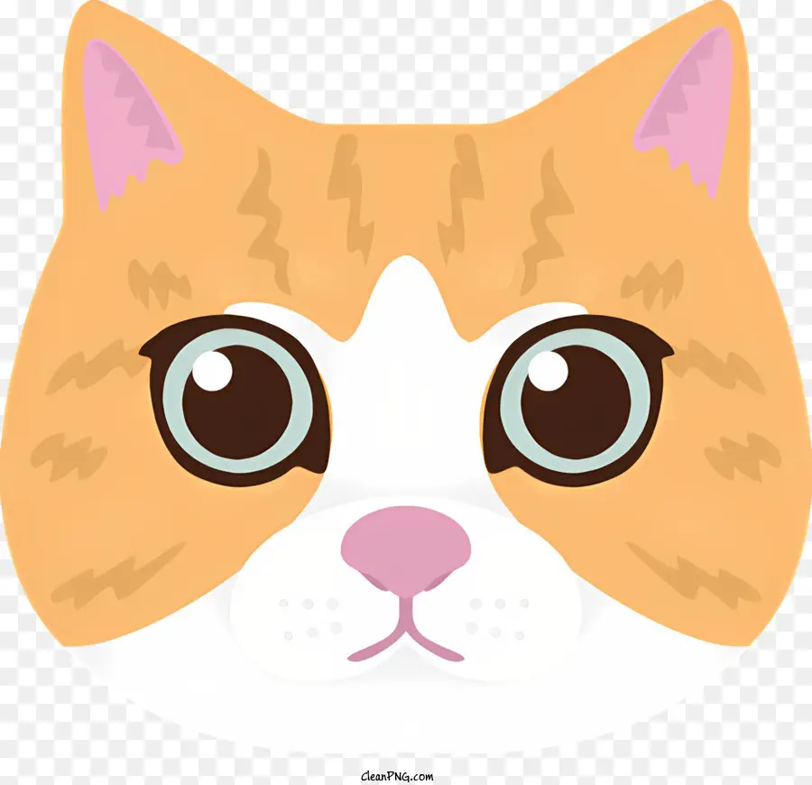 con mèo màu cam mèo trắng mèo nâu mắt màu hồng - Con mèo màu cam và trắng thân thiện với đôi mắt nâu