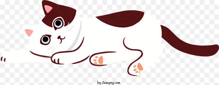 gatto Cat White and Brown Cat Oyes Collar Sleeping Cat - Gatto con naso marrone, occhi blu, colletto, riposo