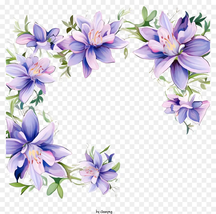 Blaue Blume - Blaue Blume mit lila Blütenblättern auf schwarzem Hintergrund