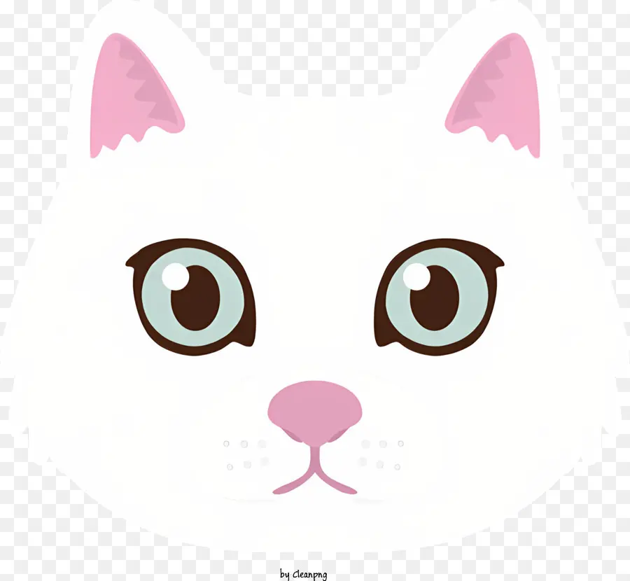 Katze weiße Katze braune Augen rosa Nase braunes Fell - Flauschige weiße Katze mit braunen Augen