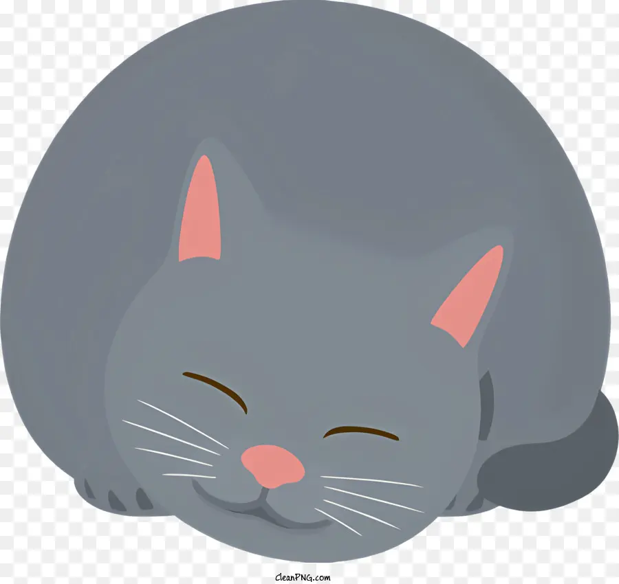 gray cat sleeping cat closed eyes tucked tail pink nose