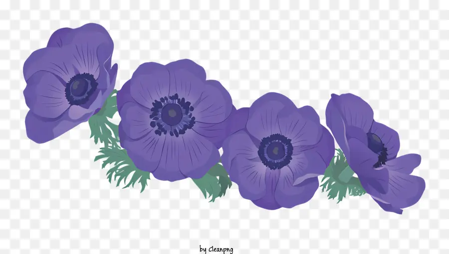 Fiori Da Giardino - Gruppo di cinque fiori viola con foglie verdi