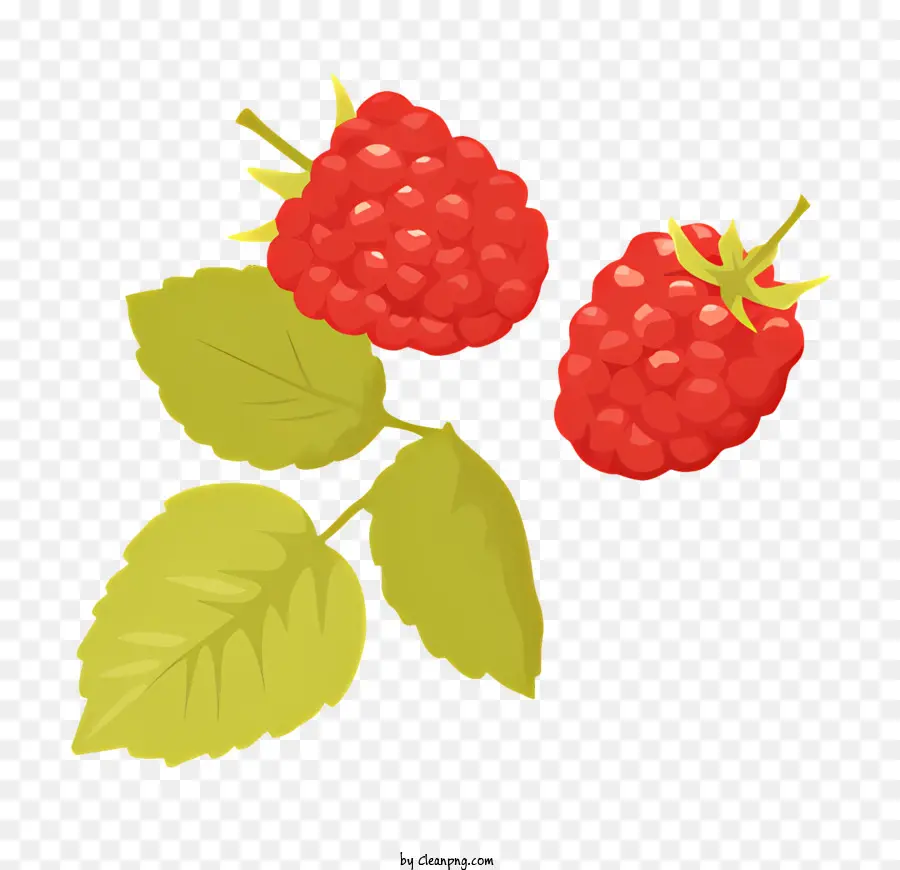 raspberries red raspberries fresh raspberries raspberries with leaves ripe raspberries