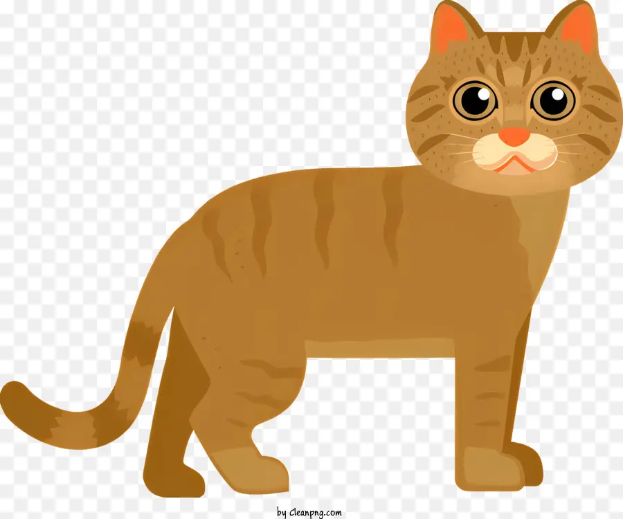 braune Katze große Augen flauschiger pelzbuschiger Schwanz intensive Ausdruck - Ernsthafte braune Katze mit großen Augen fokussiert