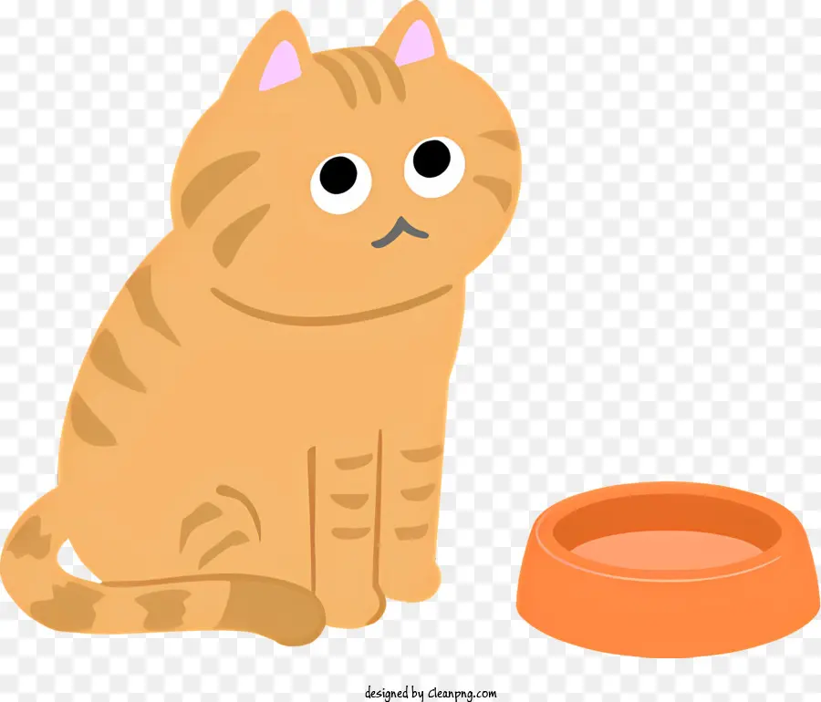 Cat arancione espressione triste espressione soffice coda rotonda testa arancione ciotola - Triste gatto arancione seduto davanti alla ciotola