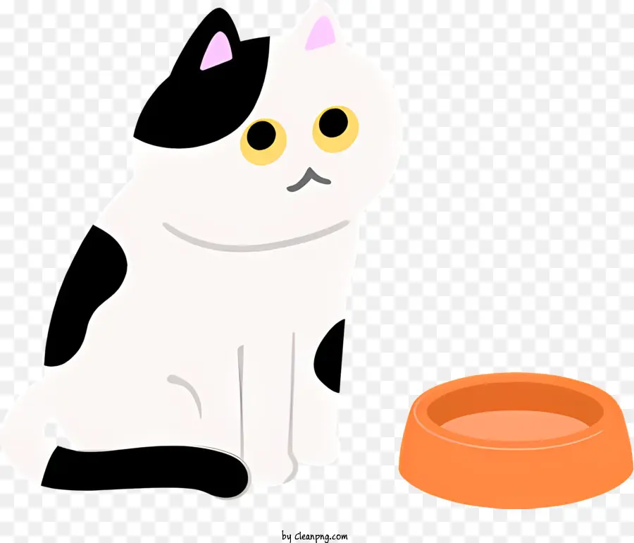 white cat bowl of water big black eyes black nose calm cat
