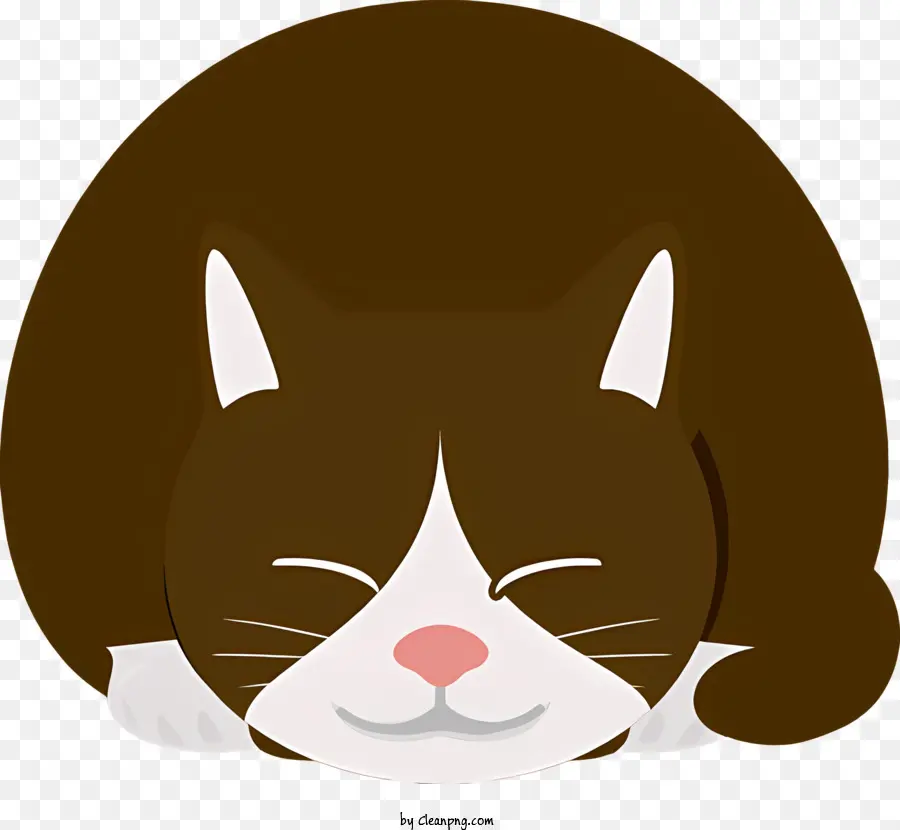 Katze Entspannung ruhig lüftet flauschiges Fell - Zusammenfassung: Entspannte Katze mit geschlossenen Augen und offenem Mund