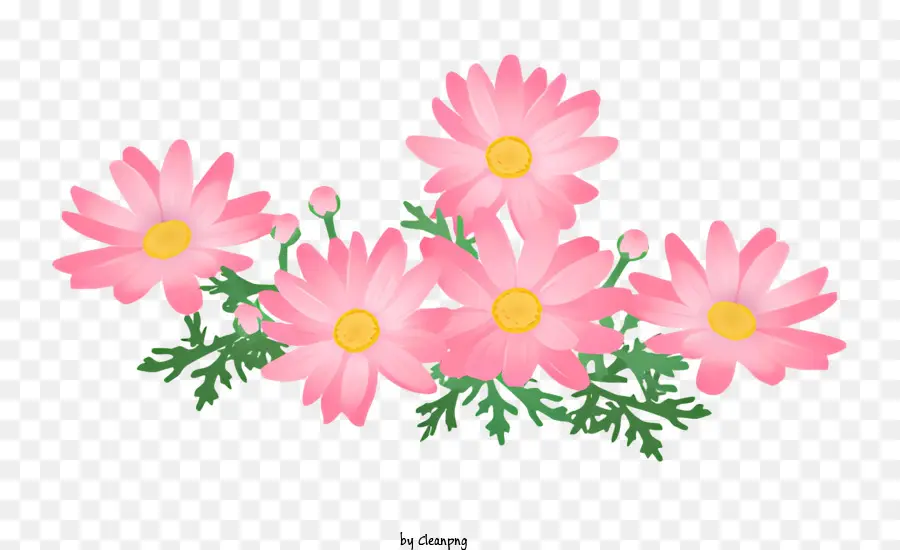 pink flowers green leaves five petals yellow center floating flowers