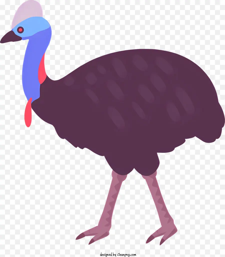 Emu Australia Long gambe lunghe gambe coda lunga - Cartoon EMU con gambe lunghe e becco