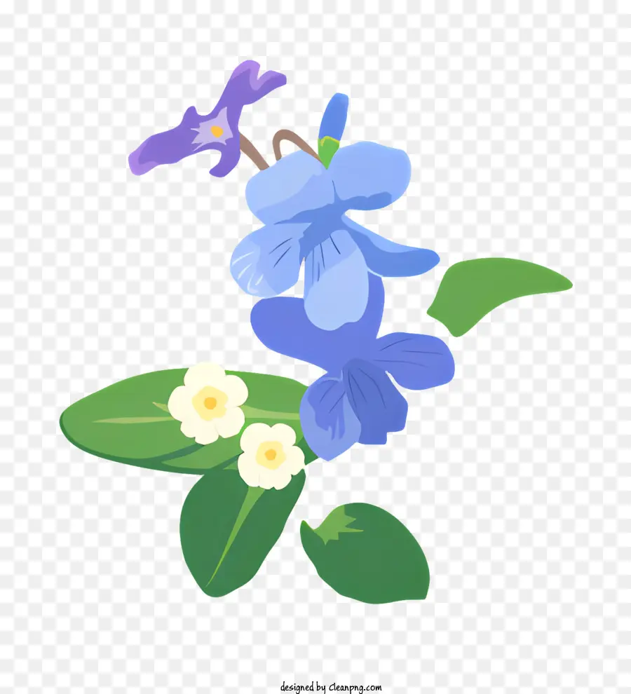 Trồng có hoa nhỏ hoa trắng hoa lớn màu xanh lá cây xanh lá cây và thân hoa nở hoa - Trồng có hoa trắng và xanh trên nền đen