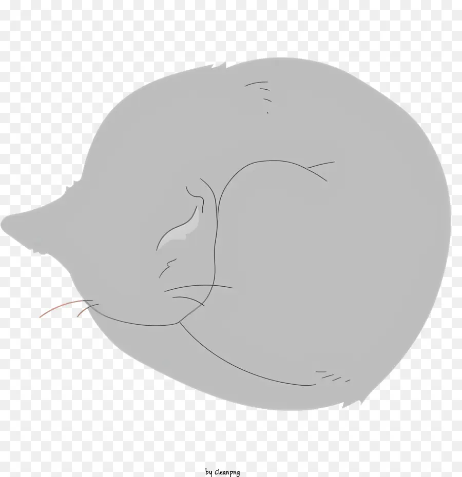 gatto che dorme gatto grigio arricciato gatto gatto gatto con occhi chiusi - Immagine: Grey Cat si rannicchiava pacificamente addormentato