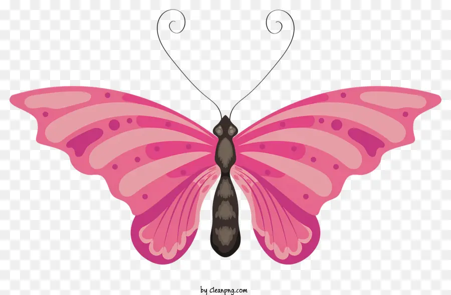 pink butterfly black spots curled up body large wings rounded body shape