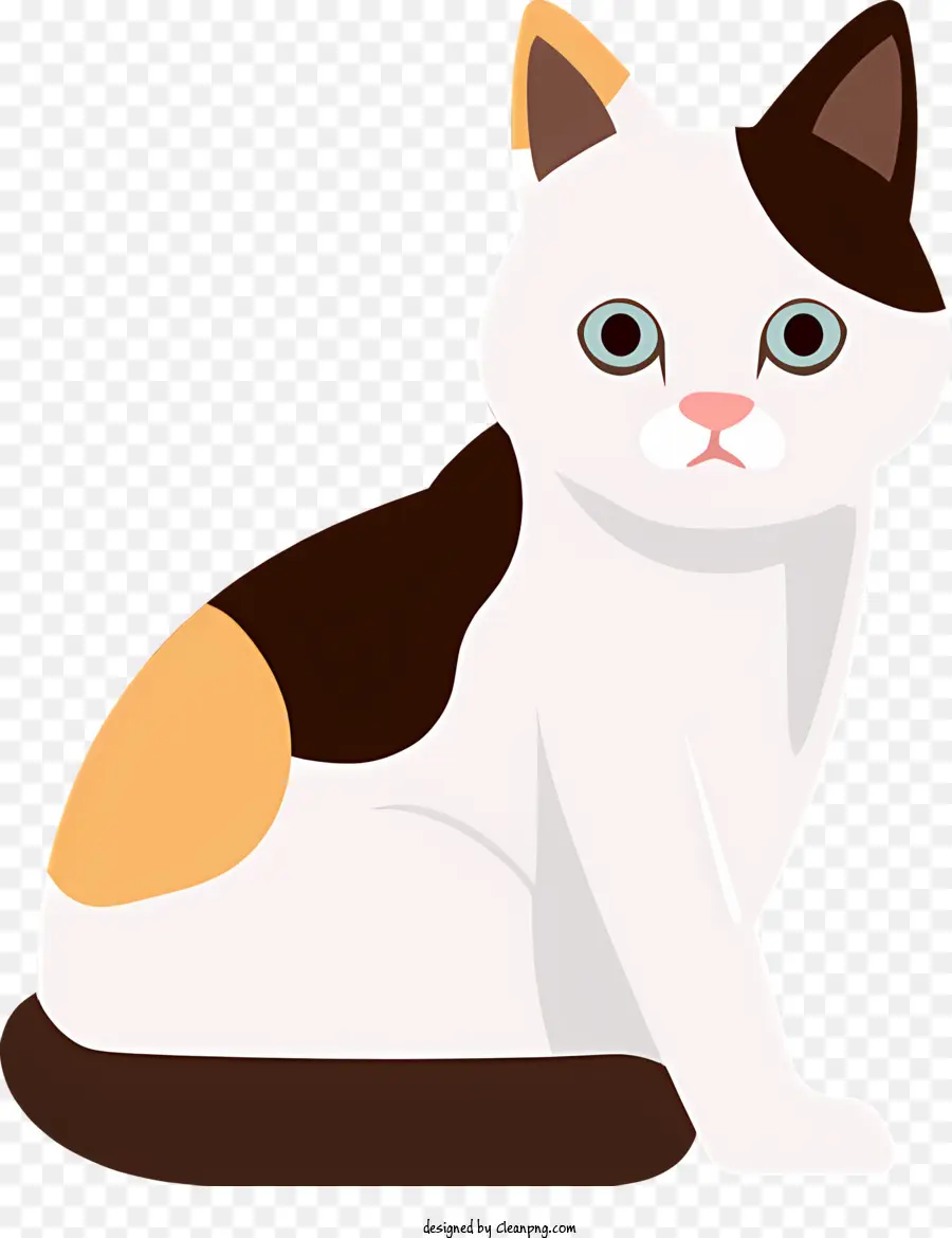 Katze hellbraun und weißer Katzenbraun Markierungen Pfoten kurzes Fell - Sitzende Katze mit braun und weißem Fell