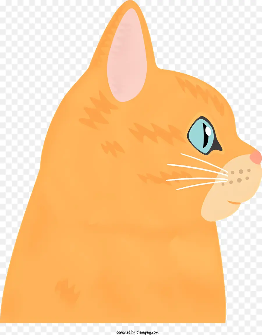 Orange Cat Big Blue Eyes Biểu cảm tò mò Fluffy Fur Bushy Tail - Con mèo màu cam mịn với đôi mắt xanh to