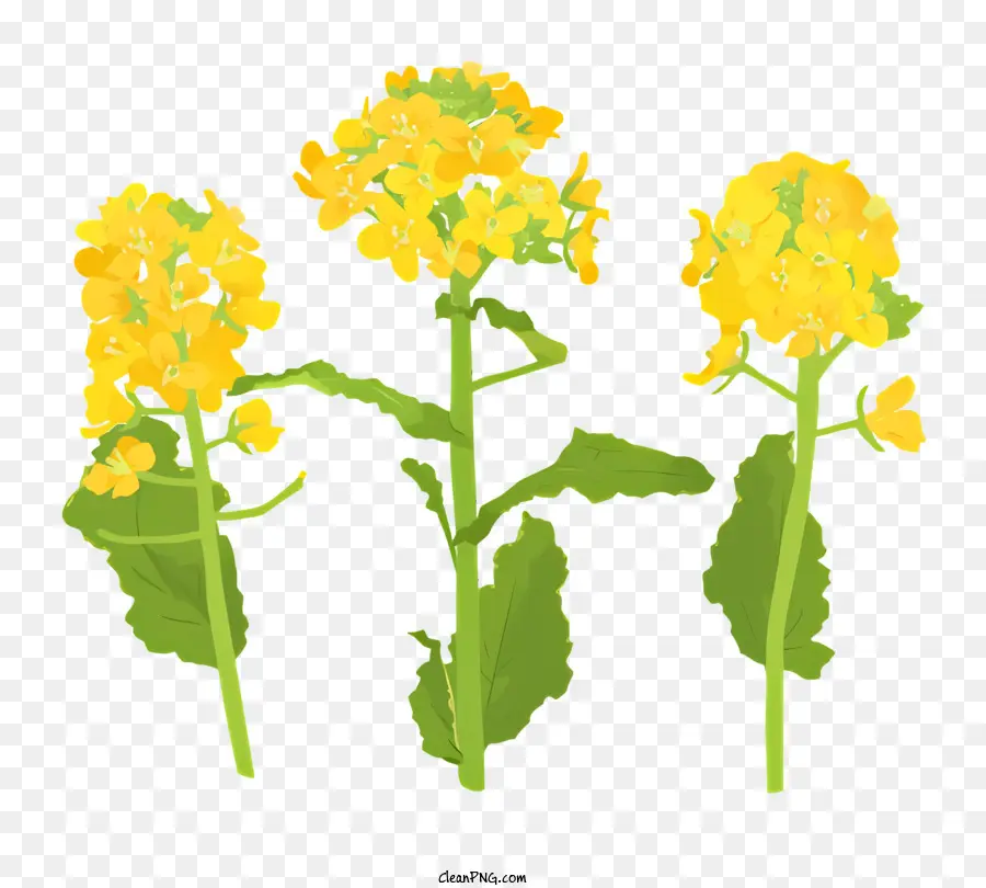 Thực vật có hoa màu vàng ba bông hoa màu vàng Hai bông hoa màu vàng một bông hoa màu vàng trên thân cây - Ba cây có hoa màu vàng và lá xanh