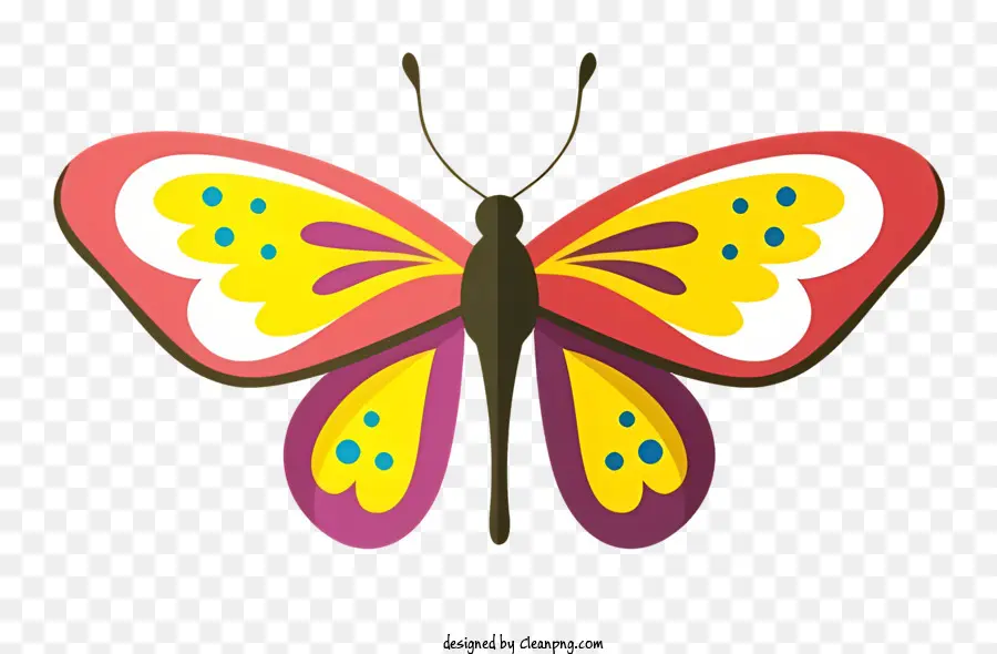 bunter Schmetterling - Farbenfroher Schmetterling mit komplizierten, flügelähnlichen Mustern