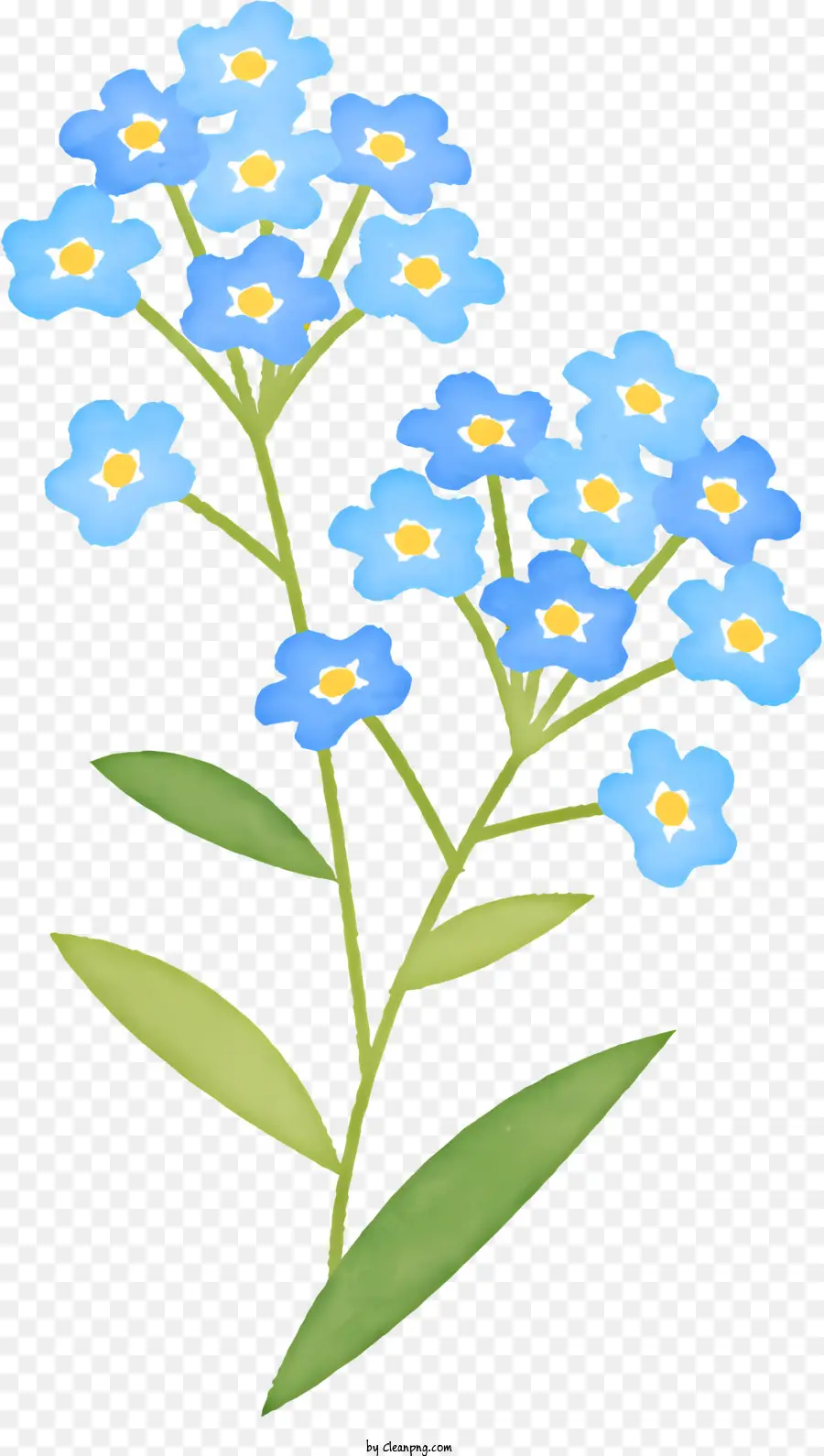 Blume weiße Blütenblätter blaue Blütenblätter grüner Stiele schwimmende Blume - Schwebende weiße und blaue Blume ohne Stiel