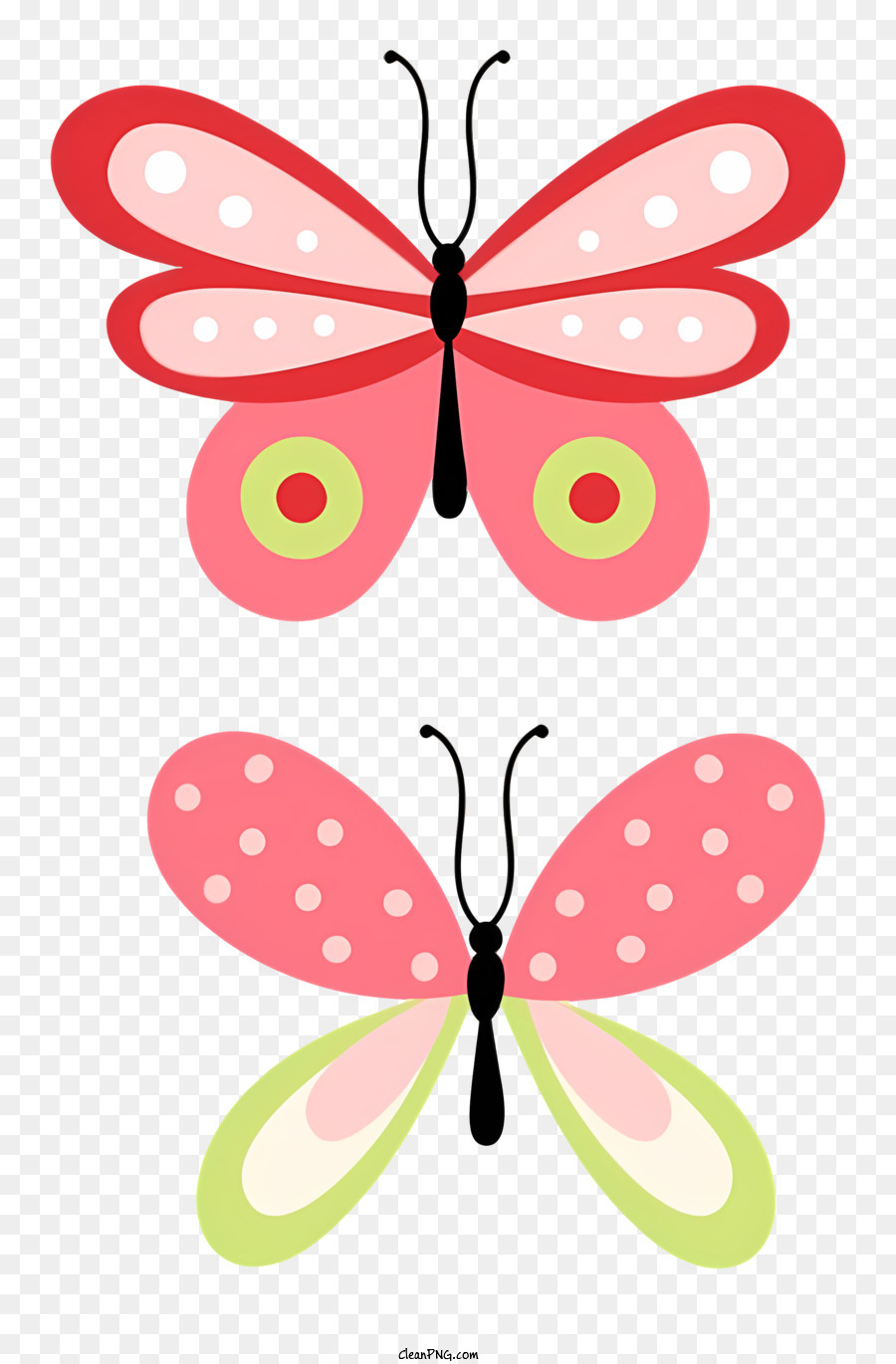Schmetterlinge rosa und grüne Flügel Nahaufnahme durchscheinende Materialien glänzender Finish - Nahaufnahme von zwei glänzenden, durchscheinenden Schmetterlingen