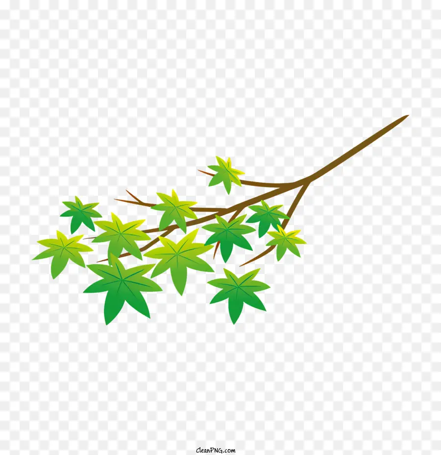ramo di albero - Fotografia del ramo di albero a foglia verde che raggiunge il cielo