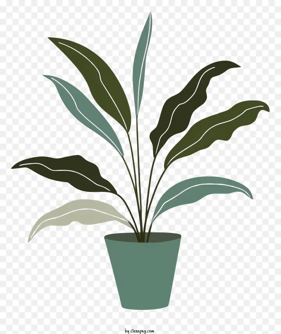 Cartoonpflanze in Topf Grüne Pflanze schwarze Hintergrund grüne Blätter - Grüne Topfpflanze auf schwarzem Hintergrund, natürliche Farben