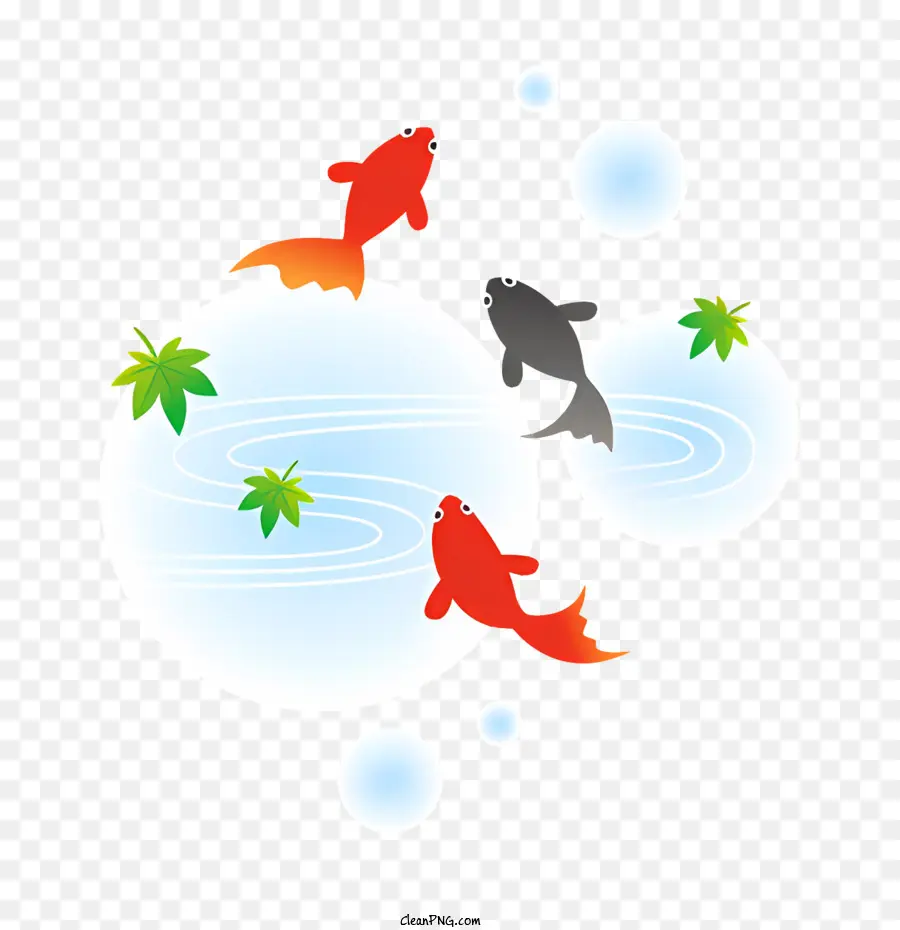 Koi Fisch Schwimmen Fisch Orange Koi Red Koi Anmutige Flossen - Lebendiger Koi -Fische schwimmen anmutig in klarem Wasser