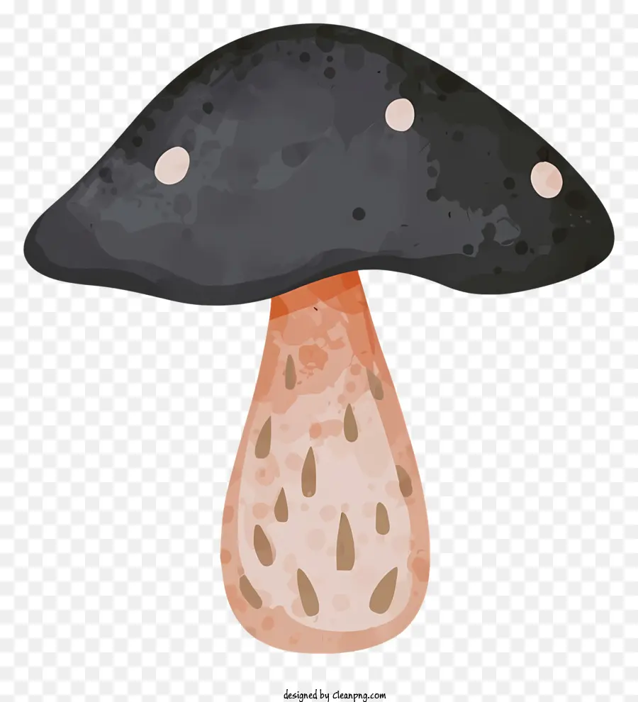 Identificazione dei funghi Fungo di funghi a punta bianca con funghi. - Fungo con berretto nero e macchie bianche