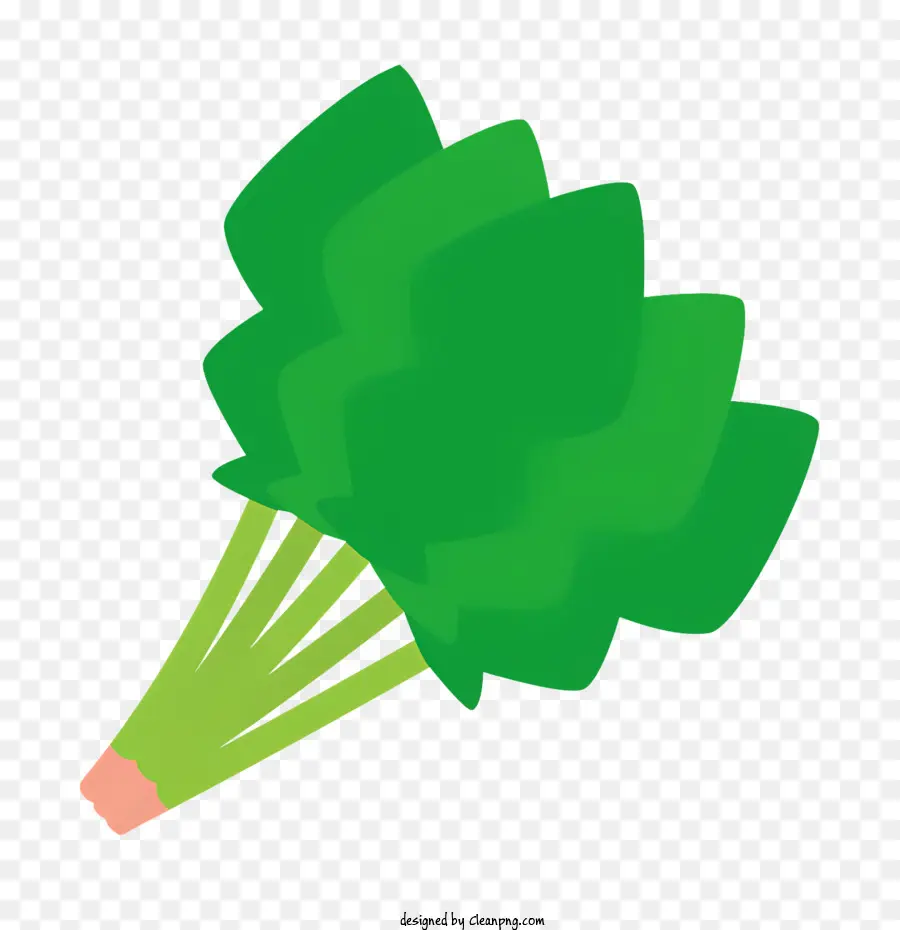 Grüne Blattpflanze Stammblätter zusammengerollte Blätter kompakte Pflanze - Kompakte Pflanze mit gekräuselten Blättern, stabil und gesund