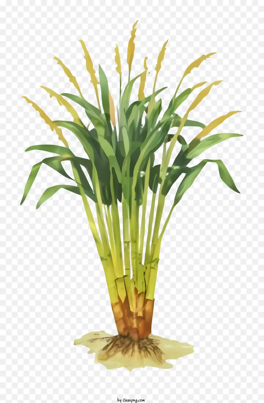 Cartoonpflanze hohe gelbe Stängel lange Blätter - Lebendiger Aquarellmalerei von hoher Pflanze mit Blättern