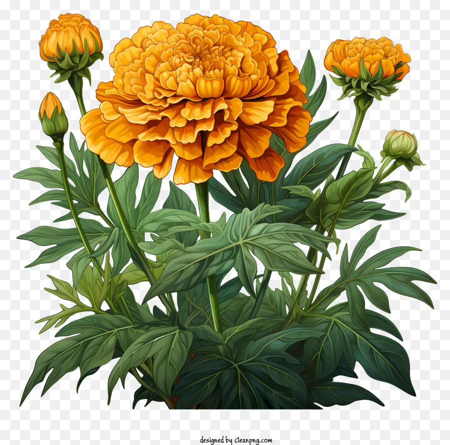 bó hoa - Bó hoa màu cam và vàng rực rỡ