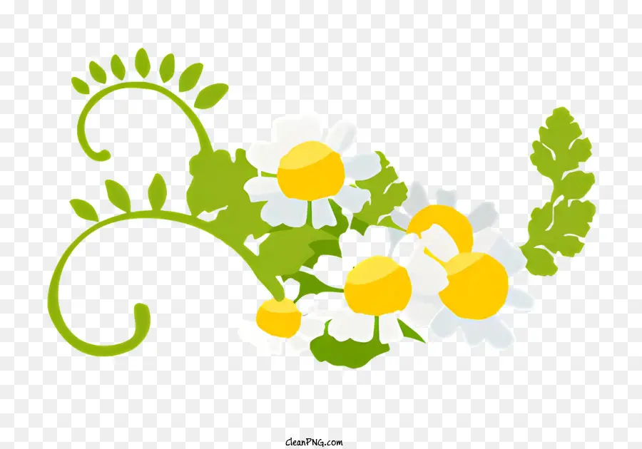 daisy bouquet white daisies yellow daisies flat style illustration 2d floral design