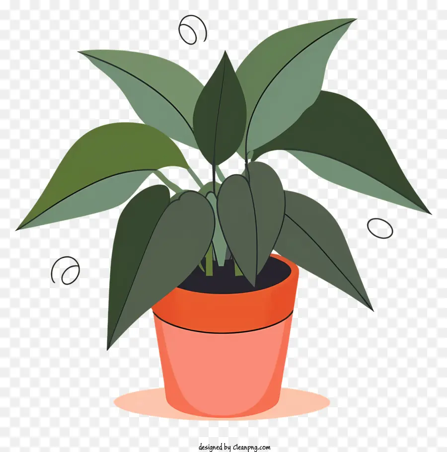pianta in vaso foglie marroni foglie verdi sfondo nero in vaso in vaso - Una pianta in vaso con foglie marroni sullo sfondo nero