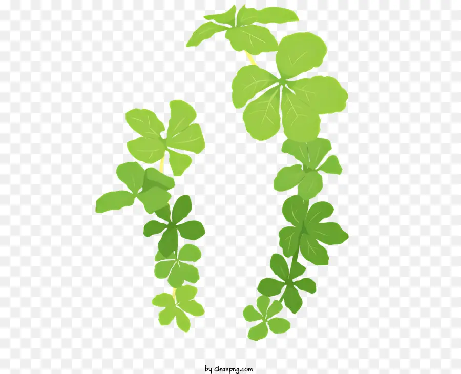 Vine a foglia verde quattro foglie di colore verde chiaro vene verde vite - Immagine realistica della vite verde con foglie