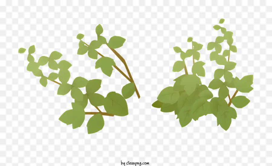 Pianta verde a foglia verde foglie verde scuro gambo verde chiaro piccoli fiori bianchi macchie marroni su foglie - Pianta verde a foglia con fiori bianchi e macchie marroni