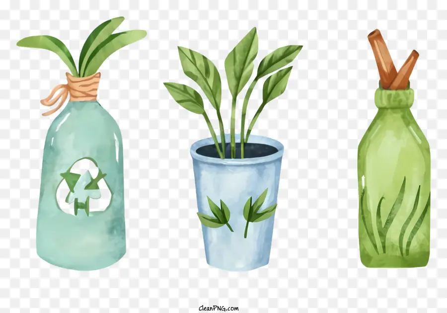 Tranh màu nước hoạt hình thực vật trong bình hoa bình nhựa màu xanh lá cây - Tranh màu nước của thực vật trong những bình hoa khác nhau