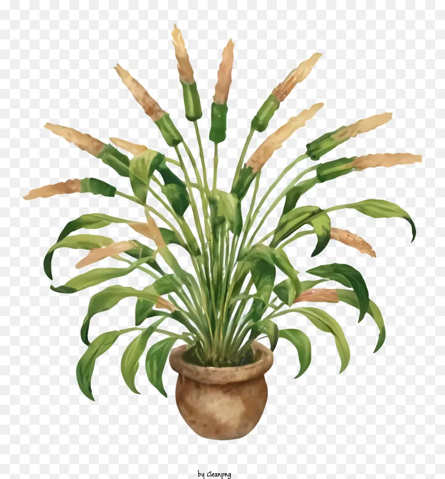 Cartoonpflanzen Vase grüne Pflanzen braune Pflanzen - Hohe Grasvase auf dunkler Oberfläche mit Dekoration