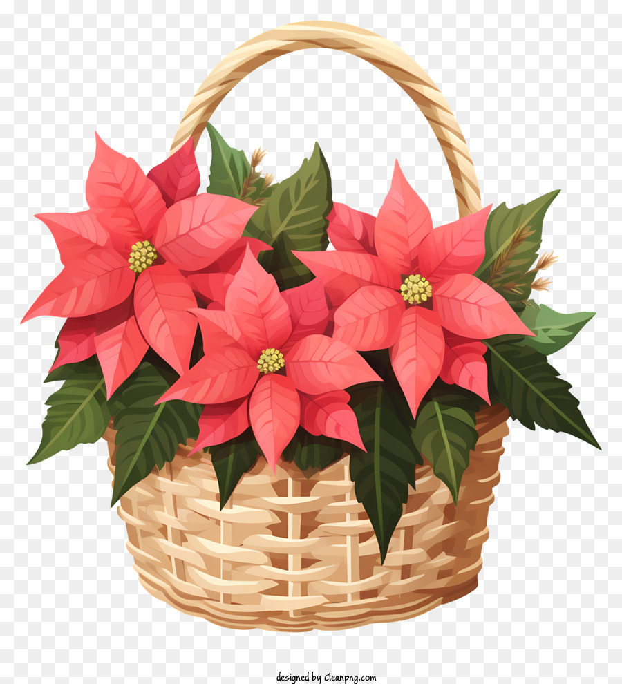 Isometrischer Stil Weihnachtsblumenkorb Korbkorb rote Poinettien grüne Blätter - Öffnen Sie den Korbkorb mit roten Weihnachtsstern und Blättern