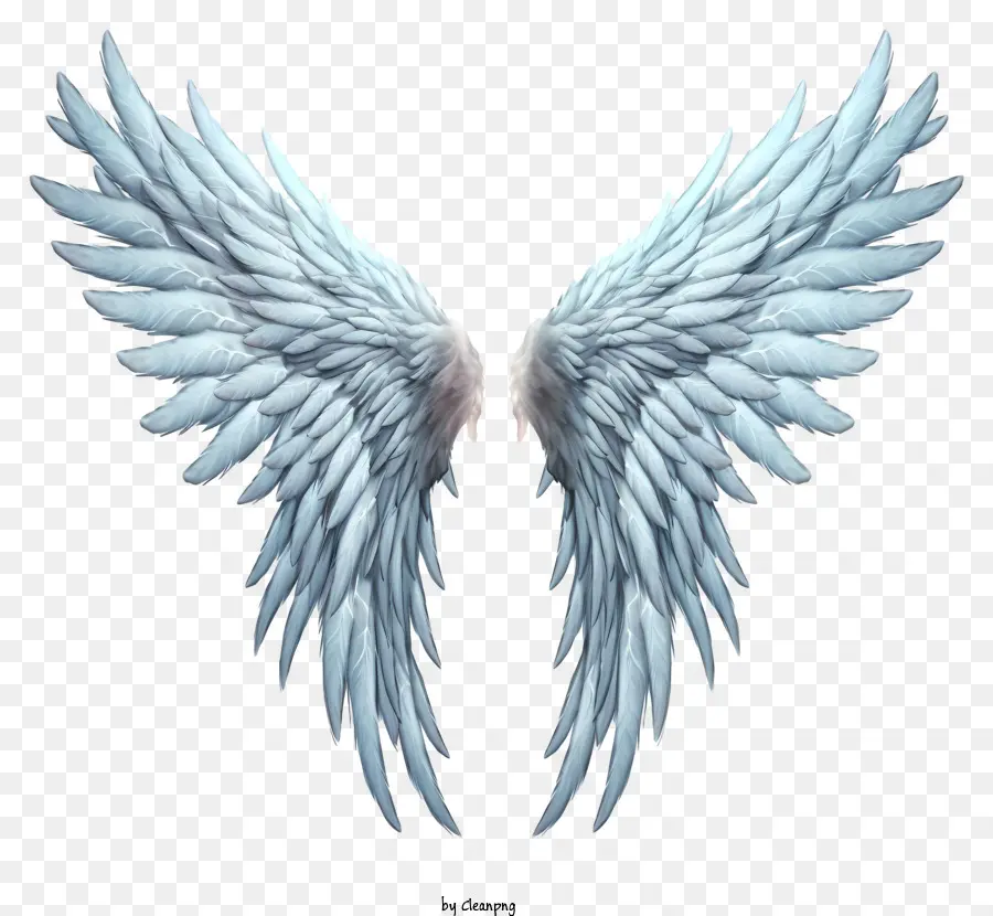 Angel Wings - Weiße und blaue Engelsflügel stehen still