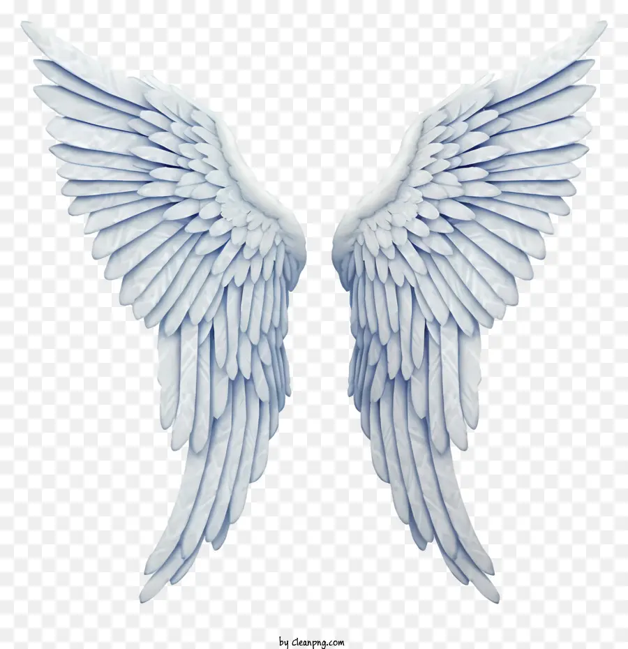 ali d'angelo - Diffondi ali di angelo bianco sullo sfondo nero