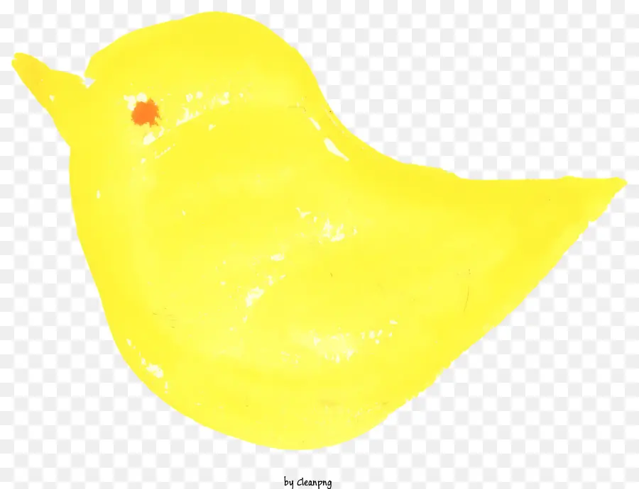 Photografia di uccelli uccelli giallo cartone animato Bird Watching Bird Bird Speciestion - Uccello giallo con testa inclinata e occhi aperti